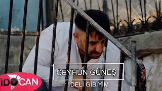 Ceyhun Güneş Deli Gibiyim  2022 Resimi