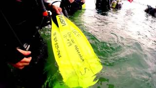 Scuba dive Phill Foster Park, Blue Heron Bridge 10-19-2015