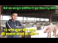 How to start a pig farm with small budget in india