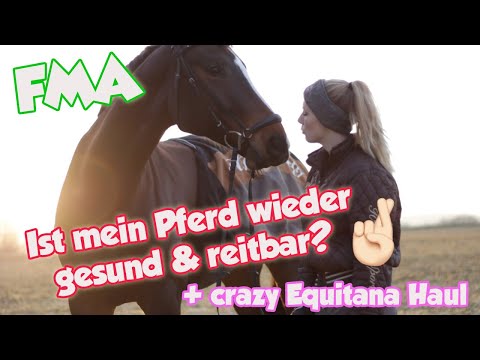 FMA - Nachuntersuchung in der Klinik & Equitana Haul 2019