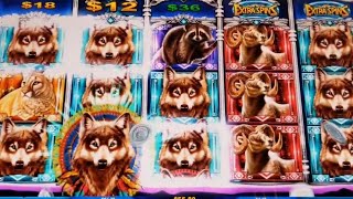 These are super hot slots.🤑 Wolf Ridge/Fa Cai Long/King of Macedonia🍀Awesome bonuses at casino.