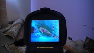 Thermal image detecting termite colony