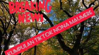 Kumpulan Tiktok Viral Nona MAUMERE