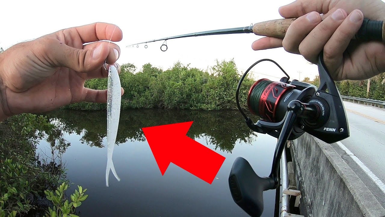 Using Random Lure for Everglades Roadside Canal Fish - YouTube