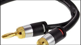 Top 10 Speaker Cables You Can Buy On Amazon  Feb 2022