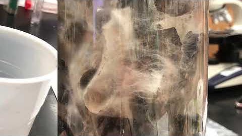 APES Eco-Column 2018