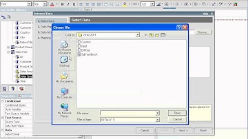IBM Cognos 10 - Manage External Data