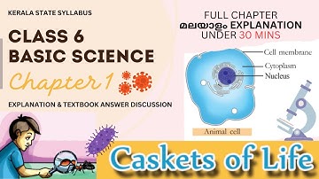 Class 6 | Basic Science Chapter 1 | Caskets of Life - Full Explanation in Malayalam