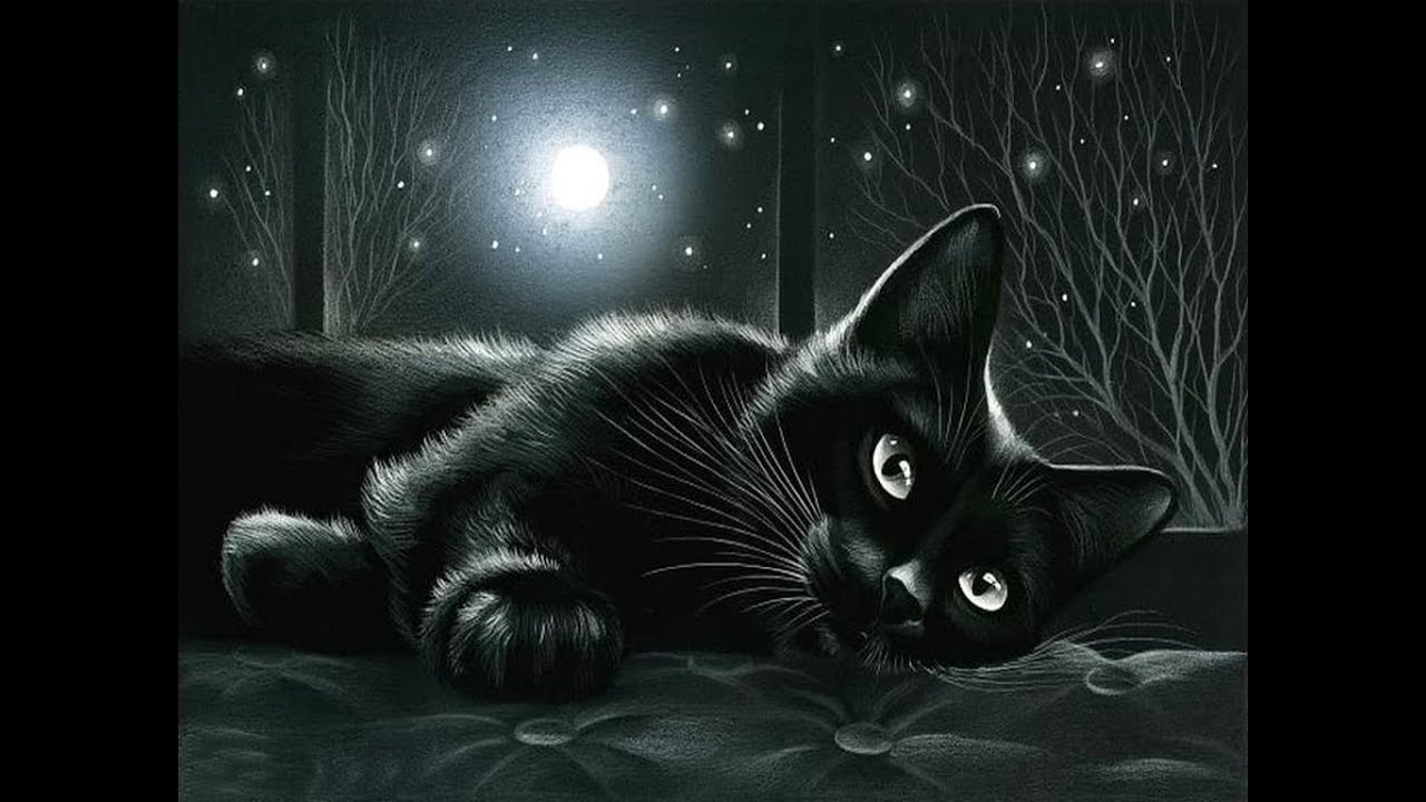 Сказочный черный кот. Кошки художницы Ирины Гармашовой.