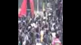 panci rasta-Kreto jowo