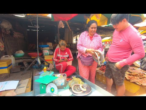 柬埔寨这个地方真是野味天堂，野生动物直接摆在市场里卖（摩旅柬埔寨9）