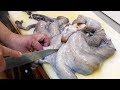 Japanese Street Food - GIANT OCTOPUS Seafood Okinawa Japan