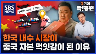 자본력 앞세워 세계 5위 시장 한국을 삼키려는 중국..정용진 회장의 신세계는 어떻게 될까? / SBS / 귀에빡종원