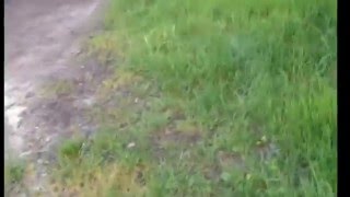 Famous Never stop lyrics by safetysuit (wedding version) Wealth