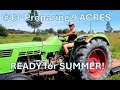 #43 Preparing 9 ACRES ready for SUMMER in Central Portugal