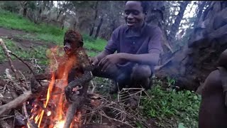 See How Hadza Tribe Catch and Eat Alot of Monkeys on the Wilderness |Tradition