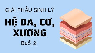 GIẢI PHẪU SINH LÝ - HỆ DA, CƠ, XƯƠNG - Y HỌC CỔ TRUYỀN LÊ HỮU TRÁC K17