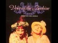 Pocketsize (b-side) - Voice Of The Beehive *Audio*