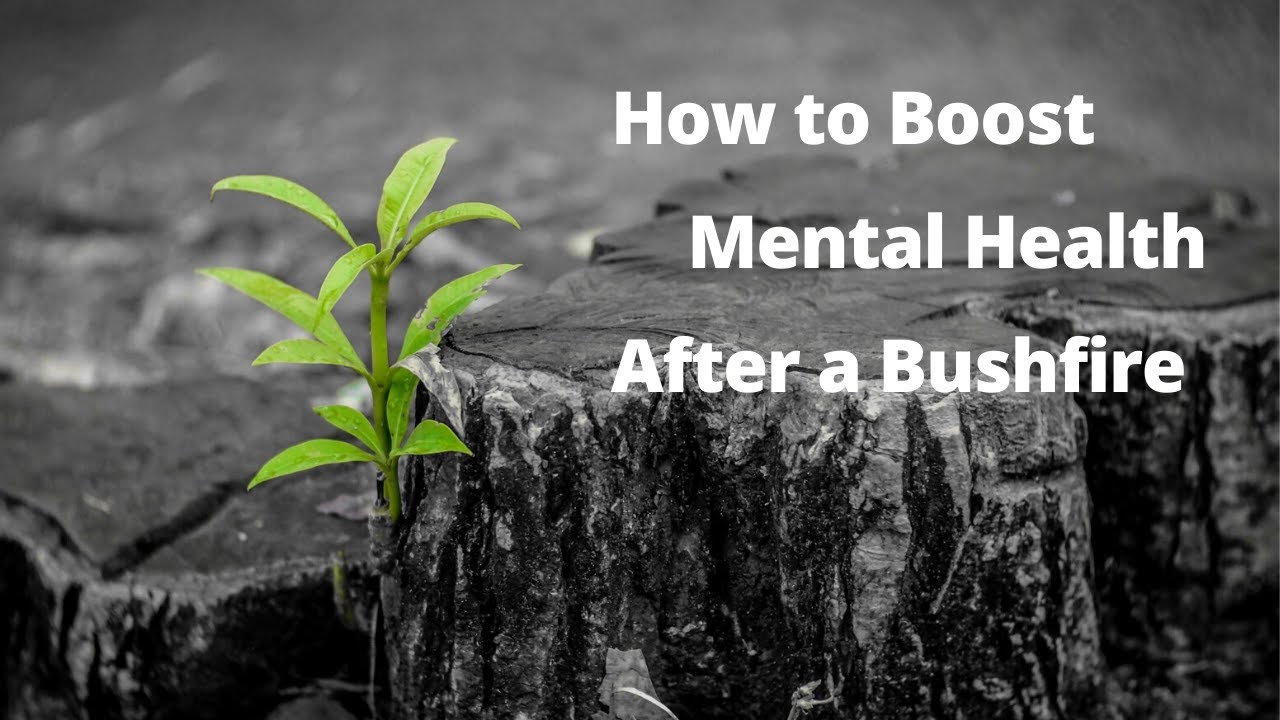 How to Boost Your Mental Health After a Bushfire