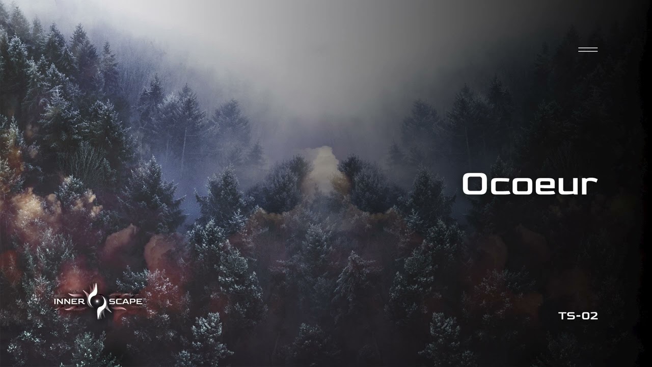 Ocoeur (Live) - Telescape Series 02