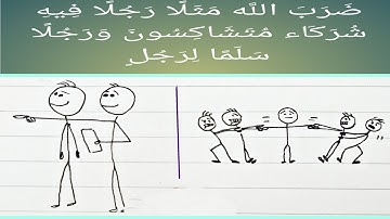 تدبر سورة الزمر (الجزء الثاني)