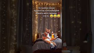 Httpstrkppduruclickso7zg6wteridkra23vkkc