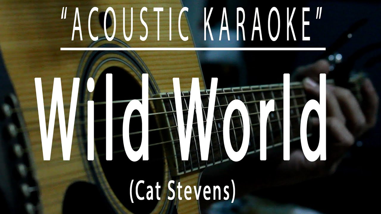 Wild world - Cat Stevens (Acoustic karaoke) Wild world - Cat Stevens (Acoustic karaoke)