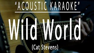 Wild world - Cat Stevens (Acoustic karaoke)