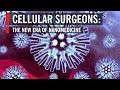 Cellular Surgeons: The New Era of Nanomedicine | World Science Festival