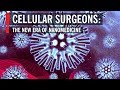 Cellular Surgeons: The New Era of Nanomedicine