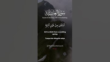 Surah Al Ghashiyah | Abdul Rahman Mosad | سورة الغاشية‎ | عبدالرحمن مسعد