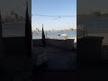 مشربتش من نيلها جربت تغنلها الله على جمالك يامصر 