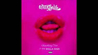 Wiz Khalifa ft Ty Dolla Sign Something New Instrumental DL Link