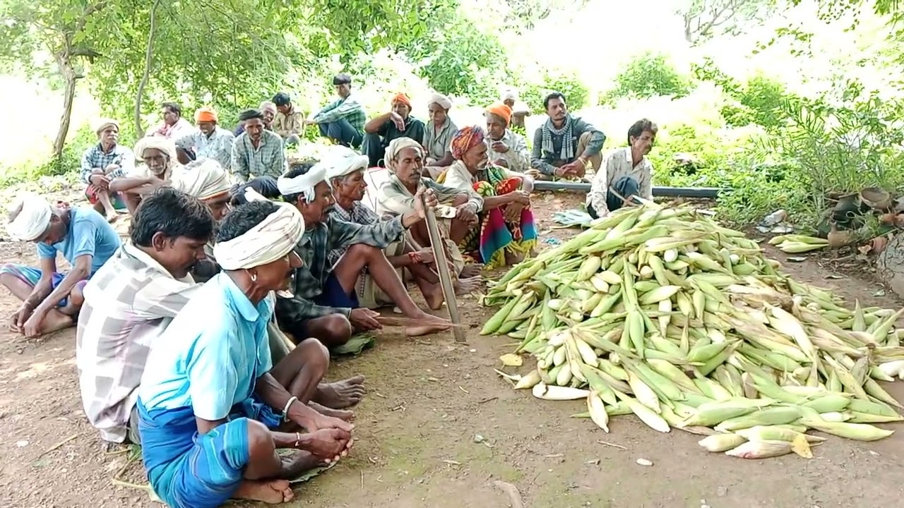आदिवासियों की परंपरा है जो जाकर कहा जाता दोस्तों वीडियो पसंद आएतो लाइक करें