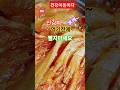 신김치맛잡아주는비법#청낭