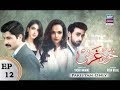 Watch Khudgarz Episode 12 - ARY Zindagi Drama Online In HD