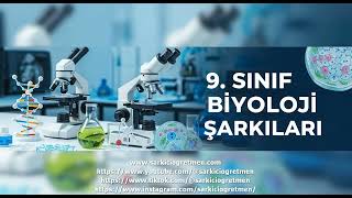 9. Sınıf Biyoloji Canlı Âlemleri şarkısı v 2 kapak görseli