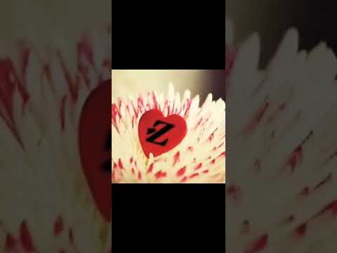 تكرمي يا فيولا حبيبتي