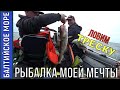 ЛОВИМ ТРЕСКУ В БАЛТИЙСКОМ МОРЕ! РЫБАЛКА МЕЧТЫ! АВГУСТ 2019г.