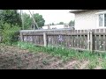 Вот так цветёт клубника 🍓🍓🍓 в этом году