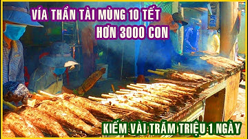 CÁ LÓC NƯỚNG MÍA 20 NGƯỜI BÁN HƠN 3000 CON VỈA HÈ SÀI GÒN LỜI VÀI TRĂM TRIỆU NGÀY VÍA THẦN TÀI