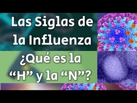 Vídeo: Interacciones Evolutivas Entre Hemaglutinina Y Neuraminidasa En La Gripe Aviar