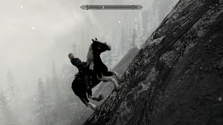 Skyrim: Recent Random Shenanigans Compilation 5