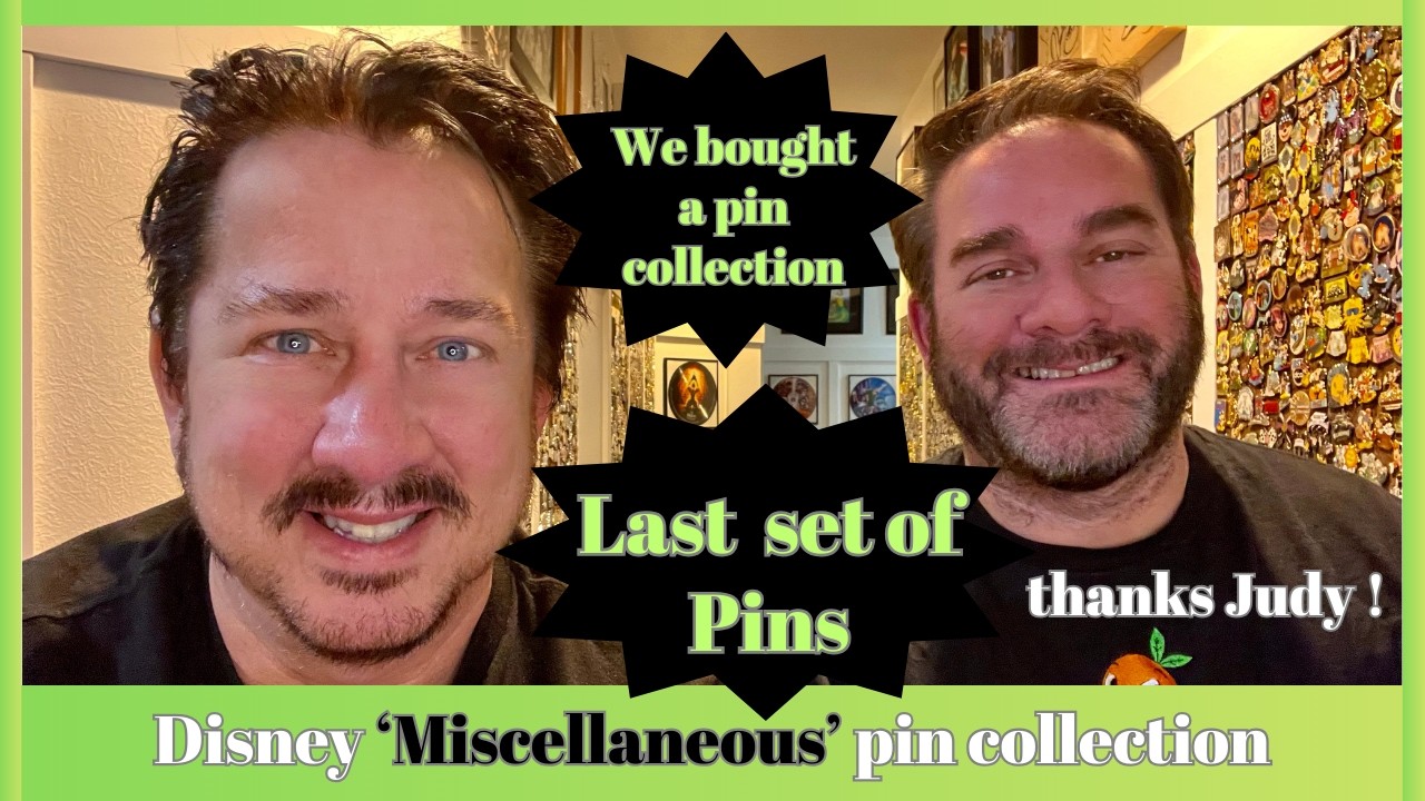 Disney Pin Collection - Last group of Pins from Purchased Pin Collection 