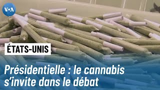 Présidentielle américaine de 2024 : la posture des candidats sur la légalisation du cannabis