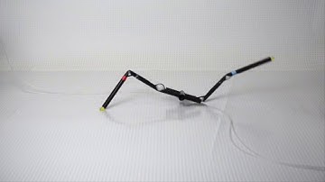 Arthrobot - Two legged crawler