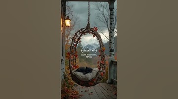 سوره الاخلاص بصوت عبد الرحمن مسعد😍🎧😴