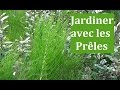 Jardiner avec les prles