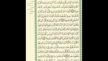 الورد اليومى.. سورة النساء من الاية 75 الى الاية 79 بصوت القارئ الشيخ ماهر المعيقلى