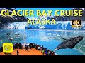 Glacier Bay National Park | Alaska Cruise | 4K Walking Tour